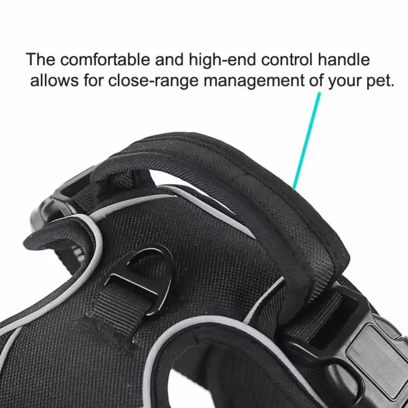 No-Pull Breathable Reflective Dog Harness (incl. Lifetime Warranty)