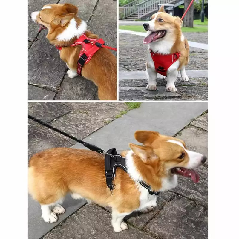 No-Pull Breathable Reflective Dog Harness (incl. Lifetime Warranty)