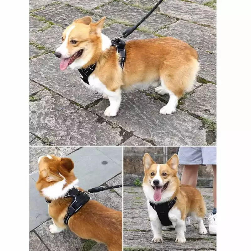 No-Pull Breathable Reflective Dog Harness (incl. Lifetime Warranty)