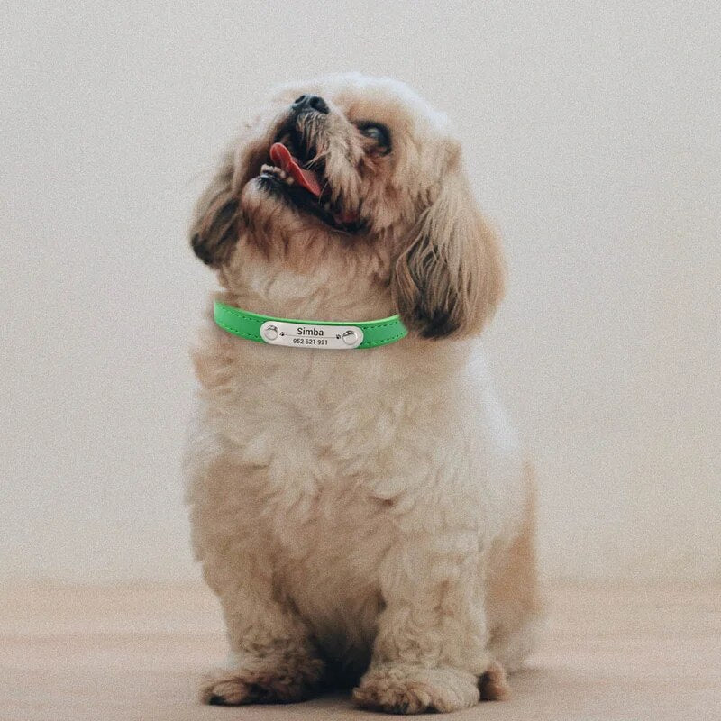 Personalized Pet Collar - Custom Name ID Tag, Anti-Lost PU Leather, Pink (S/M/L)