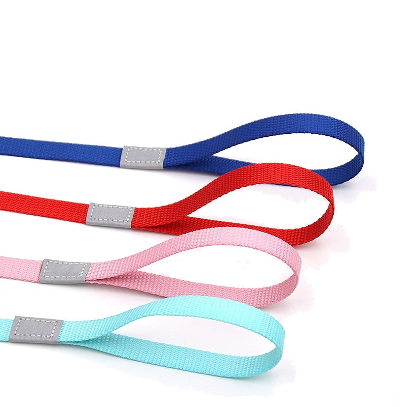 Vibrant Reflective Safety Dog Leash