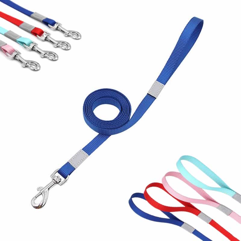 Vibrant Reflective Safety Dog Leash