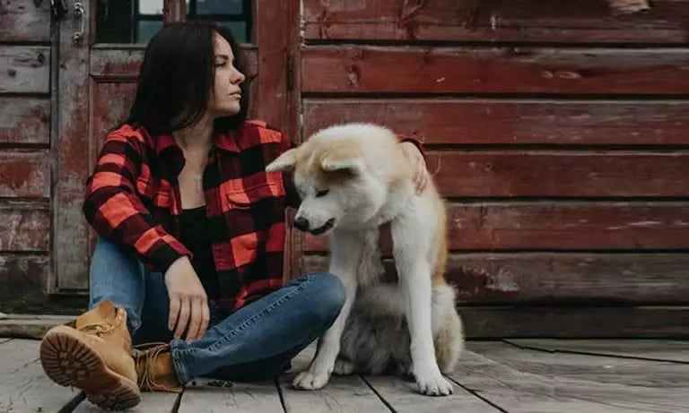 Caring for Your Senior Dog: Navigating Their Golden Years of a Dog