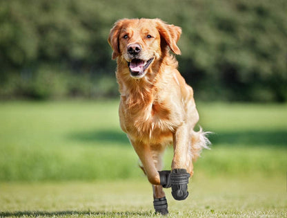 All-Weather Waterproof Dog Boots