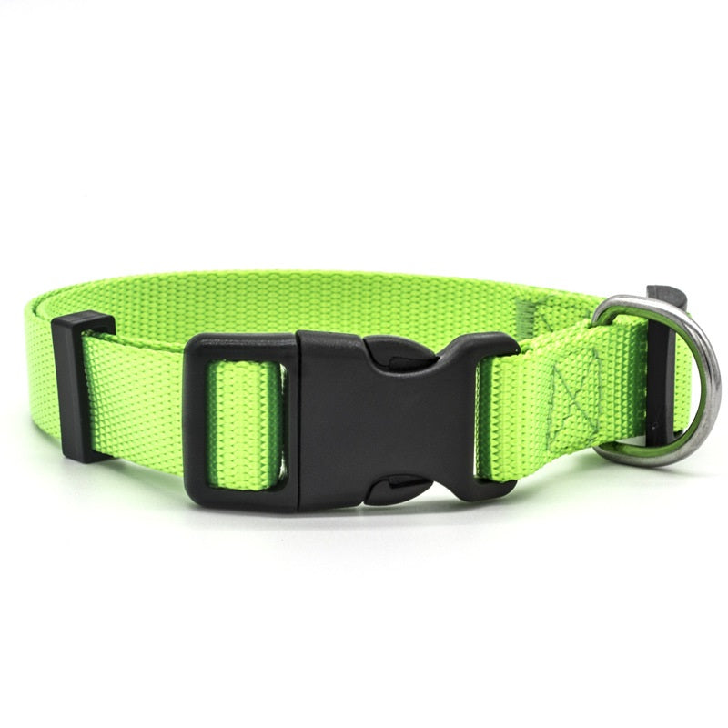 Classic Dog Collar