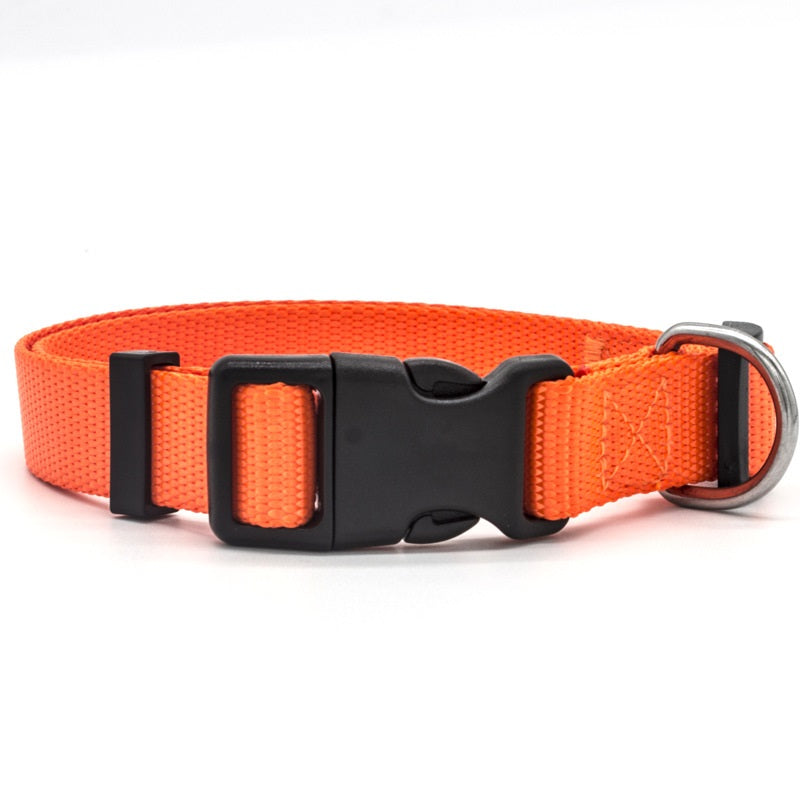 Classic Dog Collar