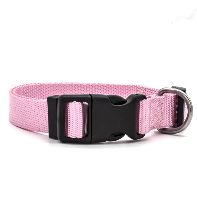 Classic Dog Collar