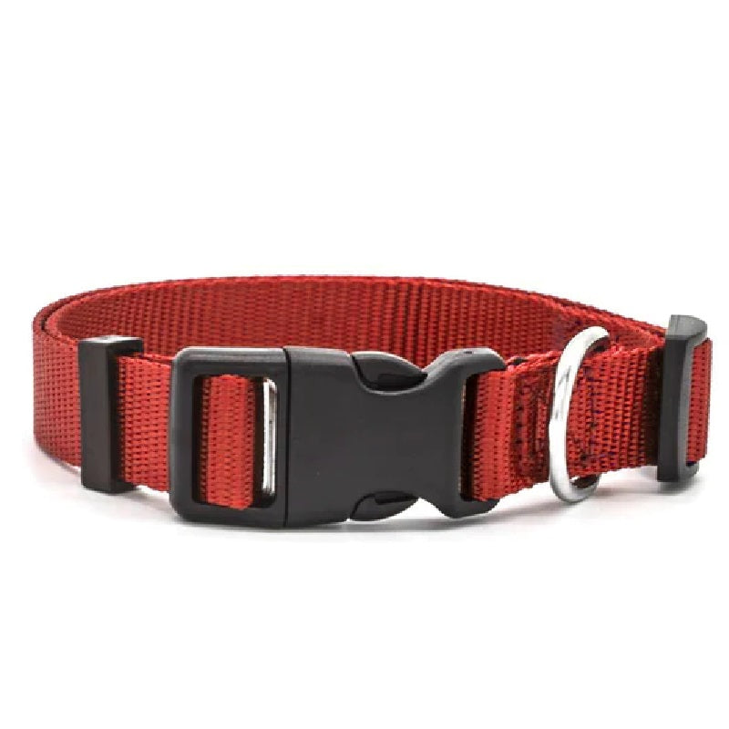 Classic Dog Collar