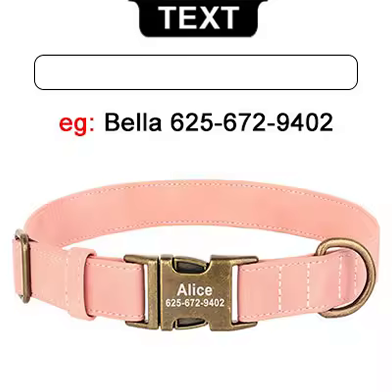 Custom Engraved Anti-Lost Dog Collar with Metal ID Tag - incl. Lifetime Warranty