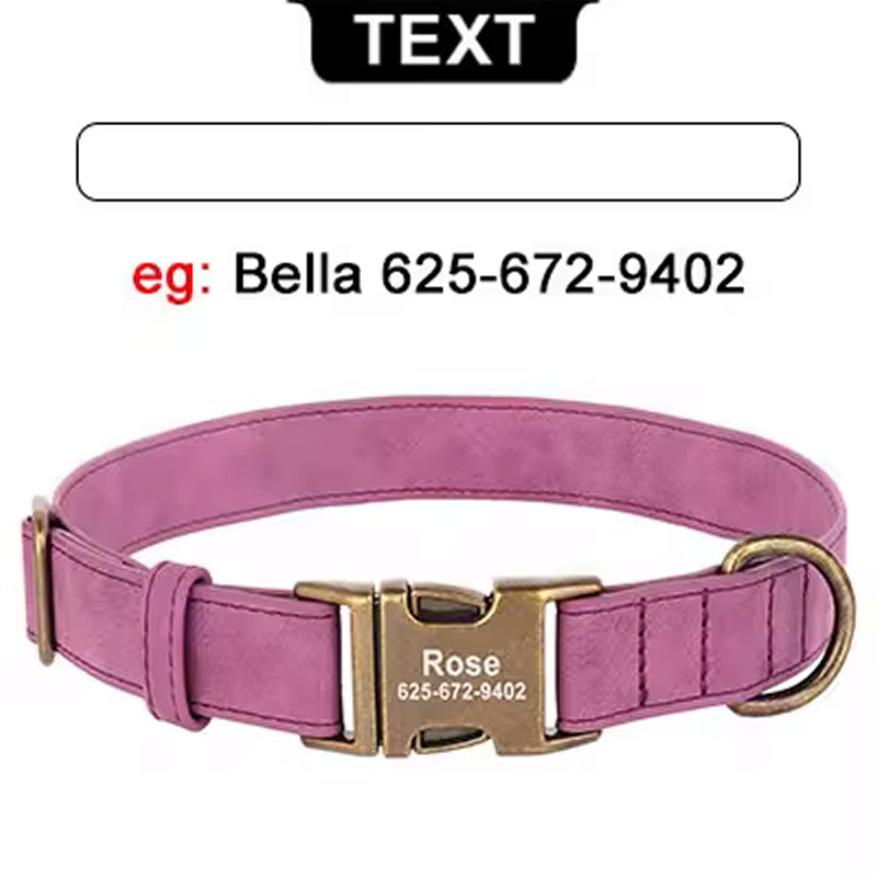 Custom Engraved Anti-Lost Dog Collar with Metal ID Tag - incl. Lifetime Warranty