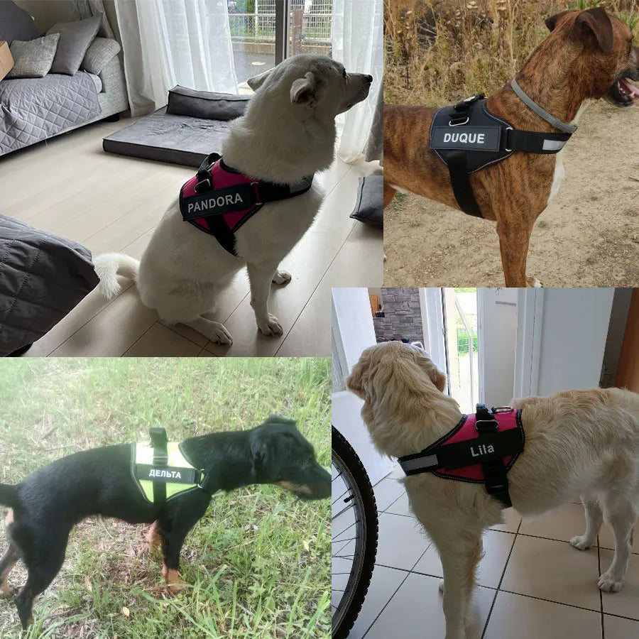 Lifetime Warranty Personalized DoggyWagging NO PULL Harness