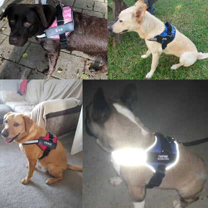 Lifetime Warranty Personalized DoggyWagging NO PULL Harness