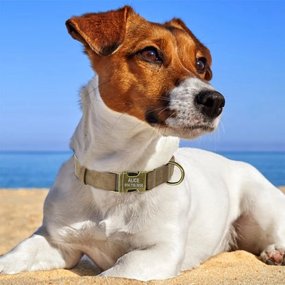 Custom Engraved Anti-Lost Dog Collar with Metal ID Tag - incl. Lifetime Warranty