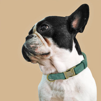 Custom Engraved Anti-Lost Dog Collar with Metal ID Tag - incl. Lifetime Warranty
