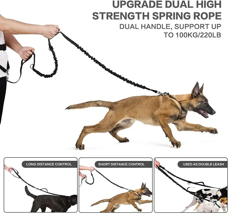 Hands-Free Dog Walking Belt with Treat Pouch and Bungee Leash