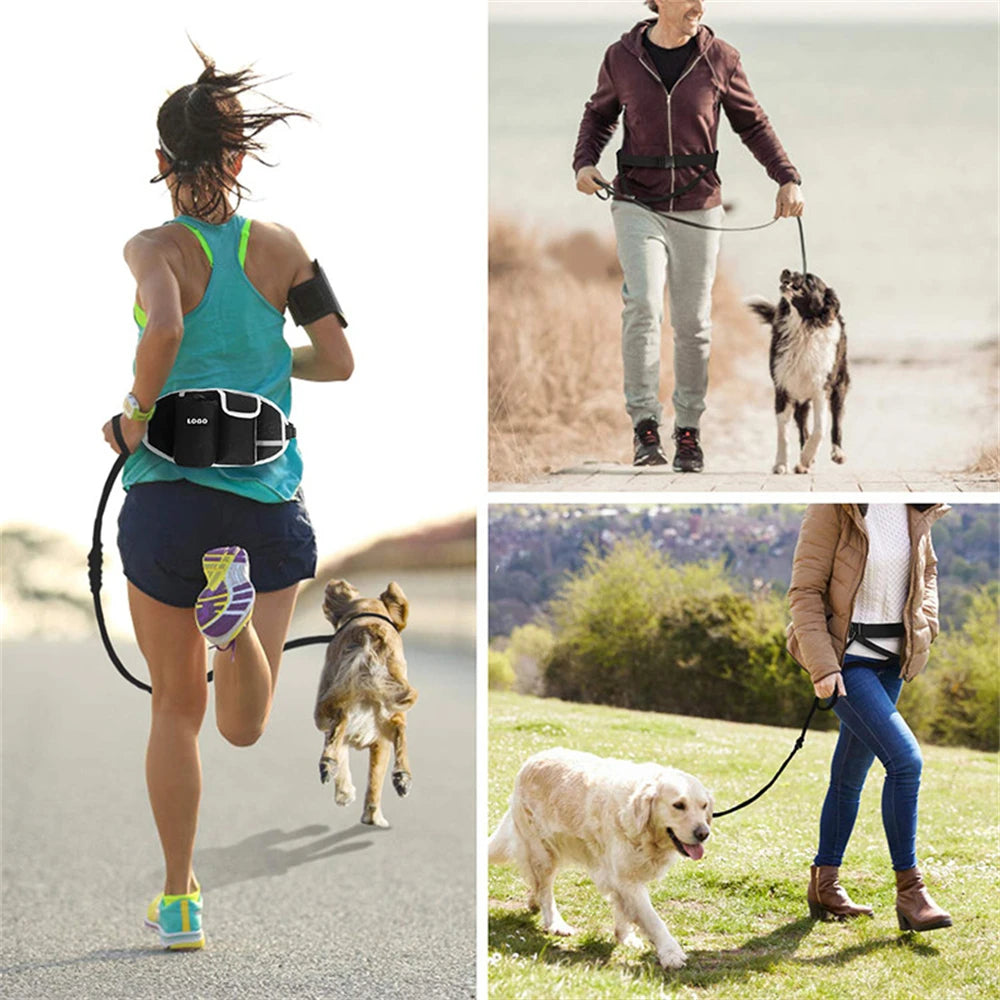 Hands-Free Dog Walking Belt with Treat Pouch and Bungee Leash