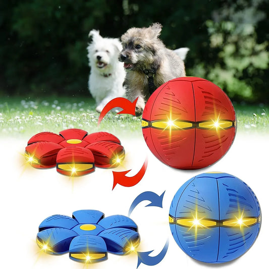 Interactive Dog Flying Saucer Ball - UFO Magic Ball