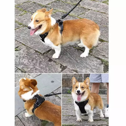 No-Pull Breathable Reflective Dog Harness (incl. Lifetime Warranty)
