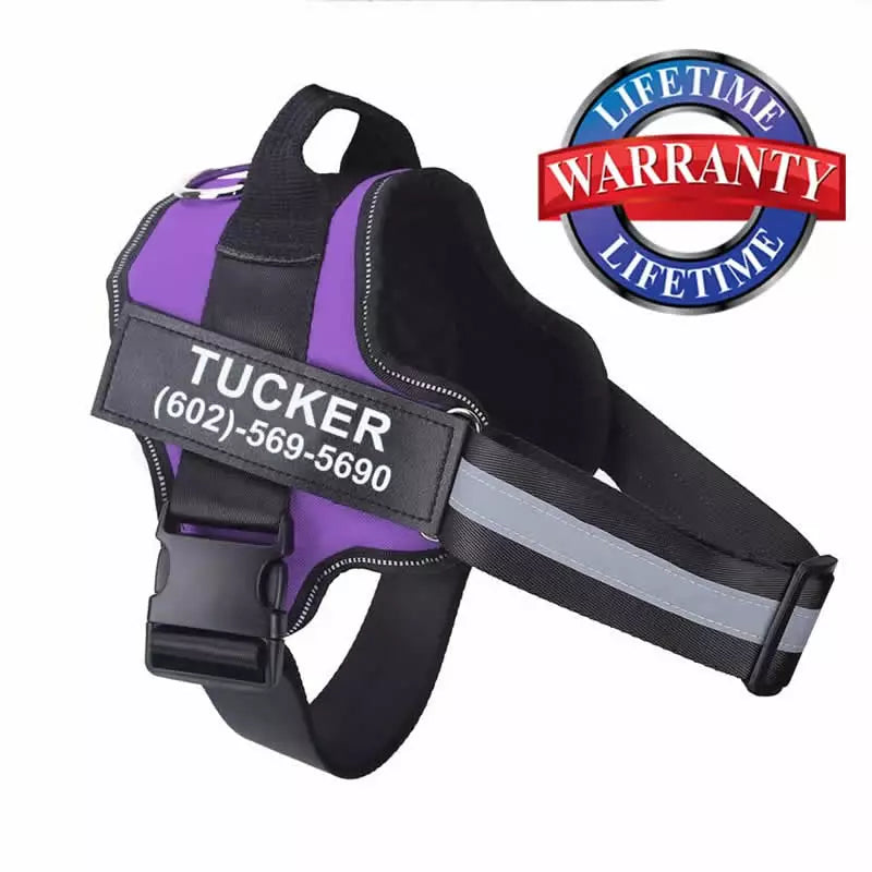 Lifetime Warranty Personalized DoggyWagging NO PULL Harness