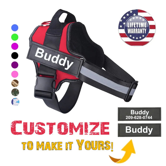 Lifetime Warranty Personalized DoggyWagging NO PULL Harness