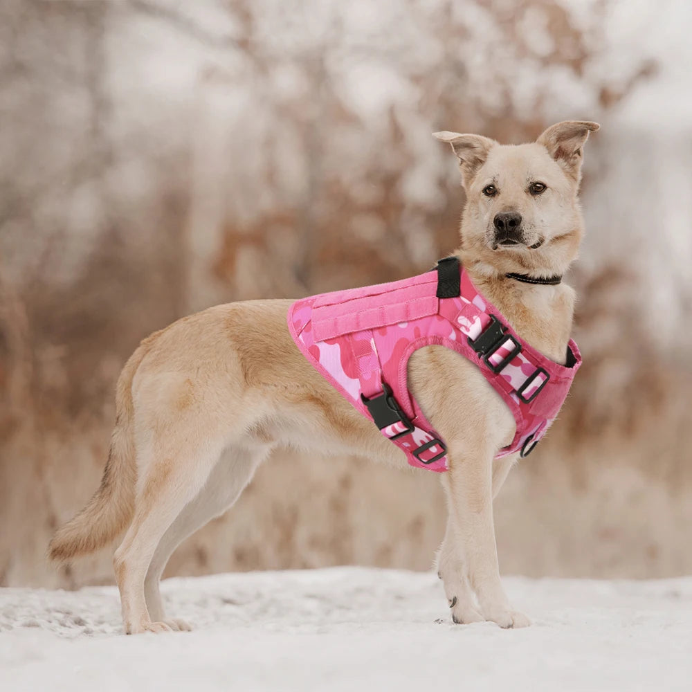 Tactical Dog Training Set: Harness & Leash Pink Camouflage (Lifetime Warranty)