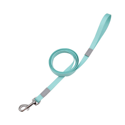 Vibrant Reflective Safety Dog Leash