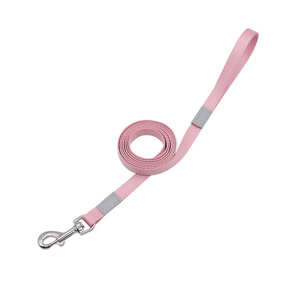 Vibrant Reflective Safety Dog Leash