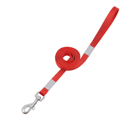 Vibrant Reflective Safety Dog Leash